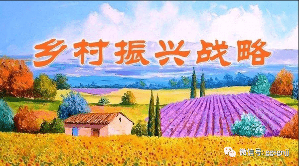 番茄社區(qū)最新破解版,關(guān)于番茄社區(qū)最新破解版的違法犯罪問題探討