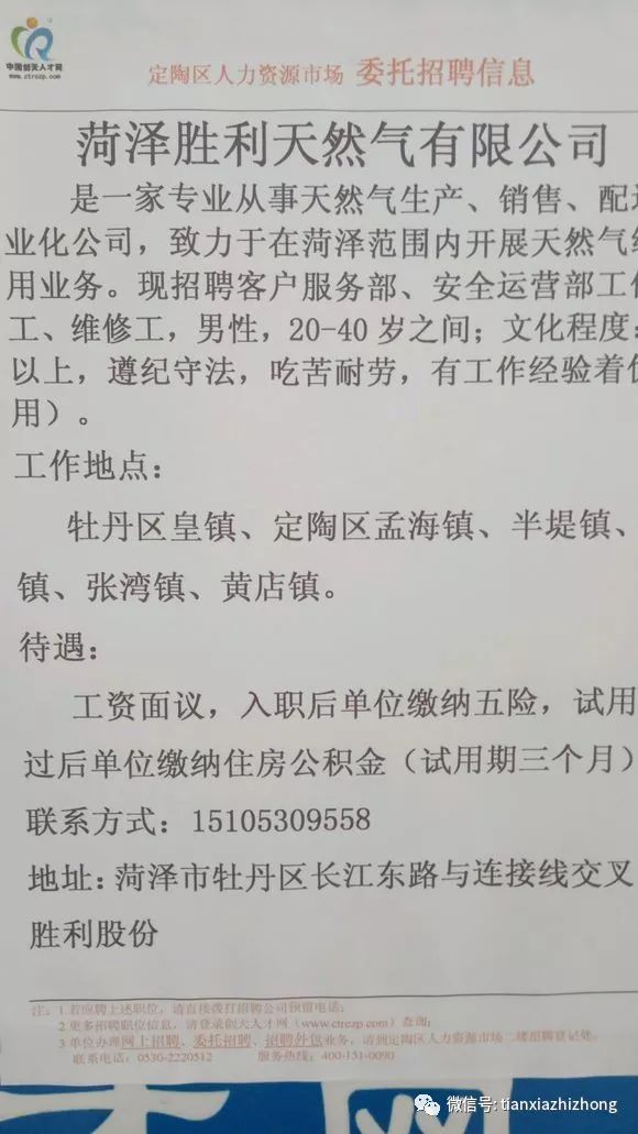 定陶招聘網最新招聘,定陶招聘網最新招聘動態深度解析