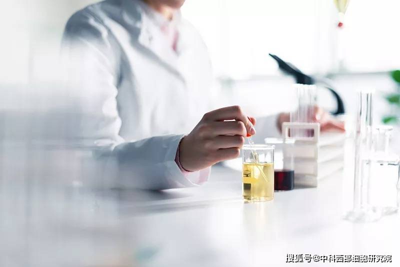 前列腺最新治療技術(shù),前列腺最新治療技術(shù)，革新療法與未來展望