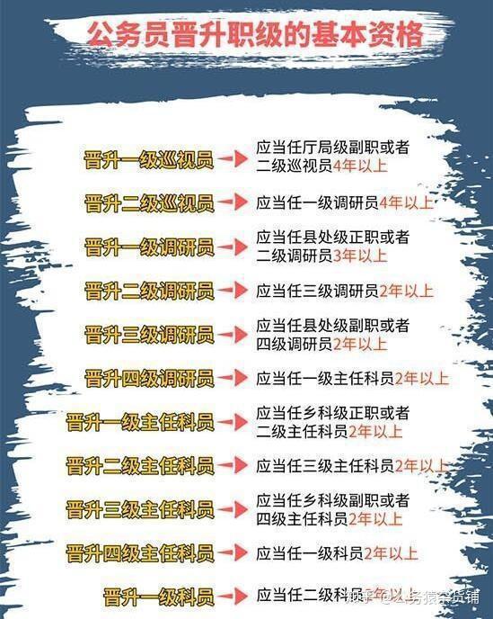 職務職級并行最新消息,職務職級并行最新消息，深度解讀與前景展望