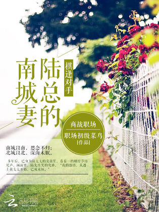 康城最新小說,康城最新小說，現(xiàn)代都市中的情感糾葛與成長故事