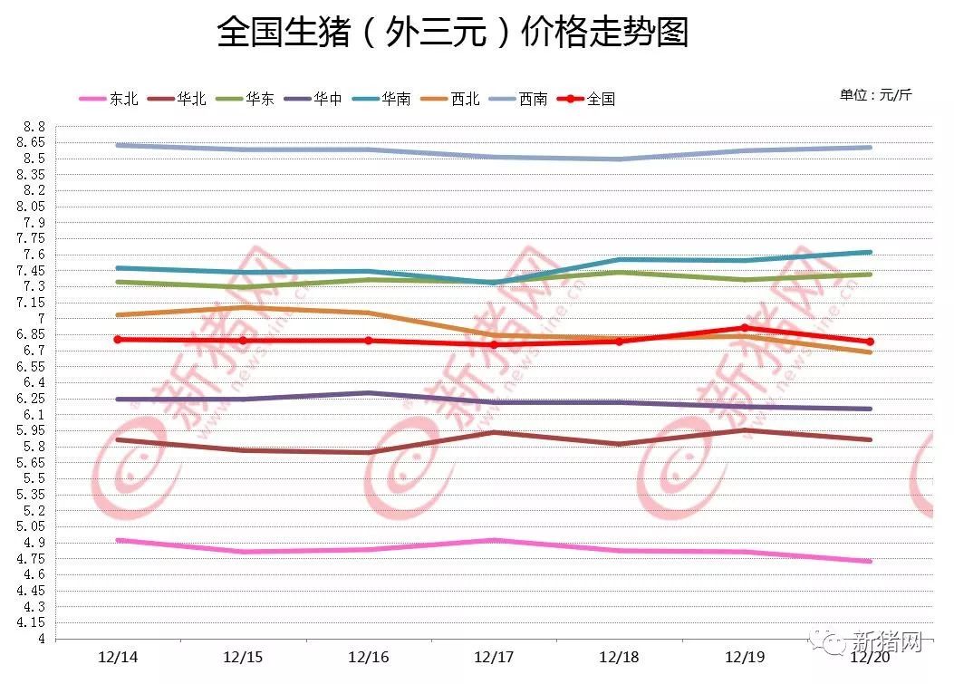 最新豬價走勢,最新豬價走勢分析