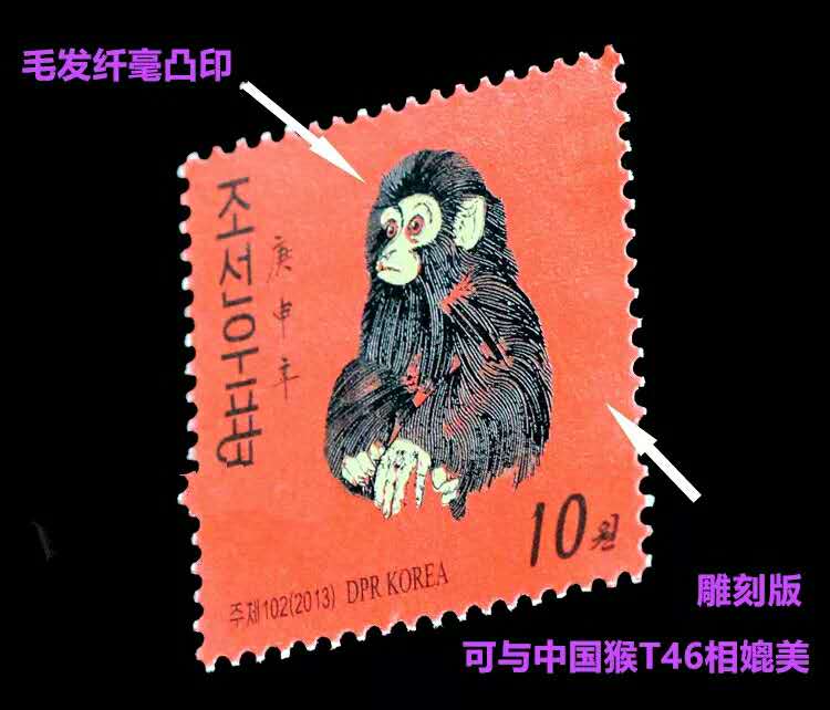 猴大版最新,猴大版最新動態，探索與研究