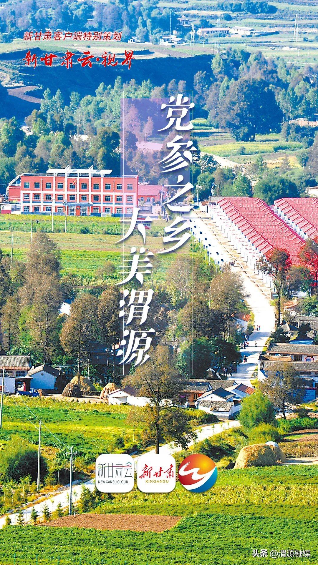 渭源黨參最新價格,渭源黨參最新價格動態及其市場影響