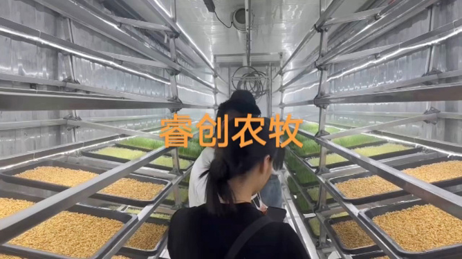 草比克最新,草比克最新動(dòng)態(tài)，引領(lǐng)綠色革命，塑造可持續(xù)未來