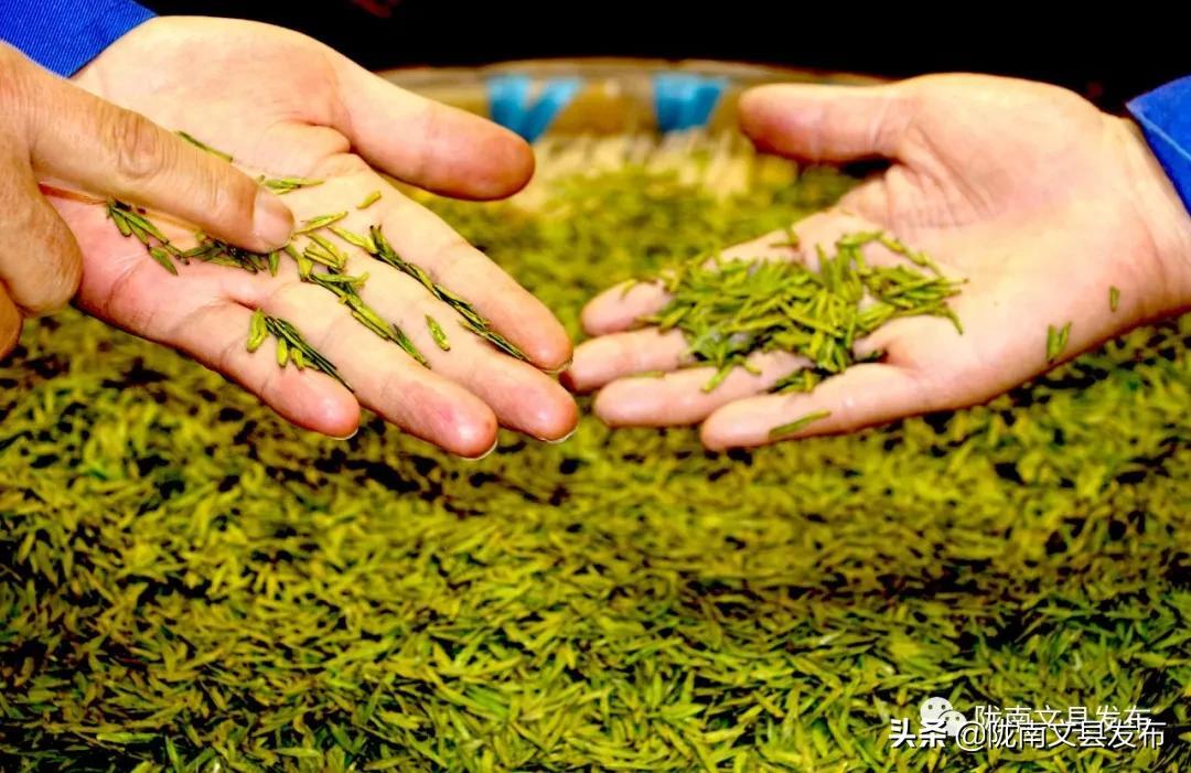 巢湖中廟最新規劃,巢湖中廟最新規劃，重塑城市魅力，打造生態宜居勝地