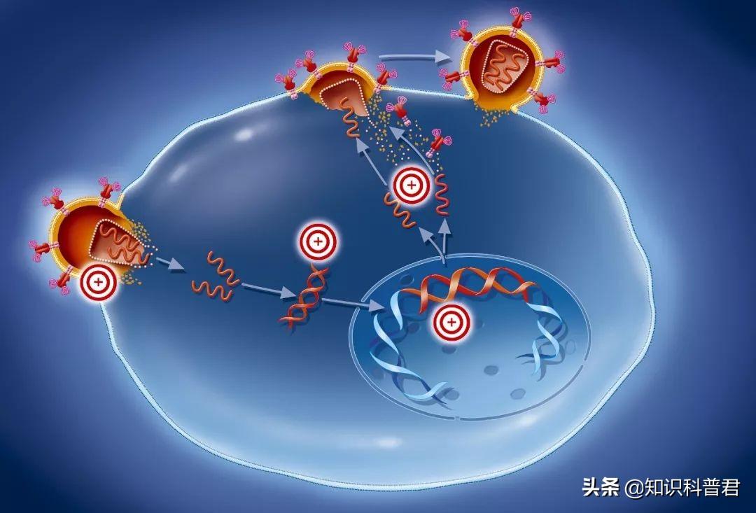 最新版的啊,最新版的相關領域研究與應用進展