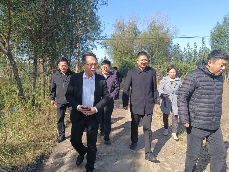 濟南小麥價格最新行情,濟南小麥價格最新行情分析