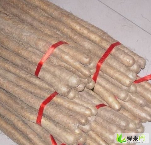 鐵棍山藥價格最新行情,鐵棍山藥價格最新行情分析
