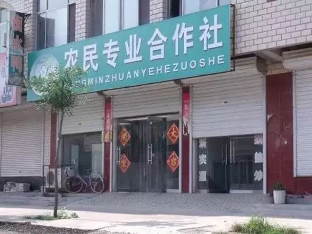 農(nóng)村合作社最新政策,農(nóng)村合作社最新政策，推動農(nóng)業(yè)現(xiàn)代化與鄉(xiāng)村振興的新引擎
