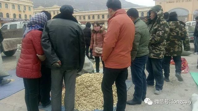 岷縣黃芪最新價格,岷縣黃芪最新價格動態(tài)分析