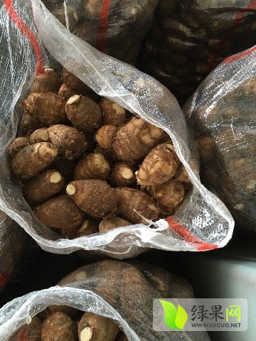 安丘芋頭最新價格,安丘芋頭最新價格動態(tài)及市場分析