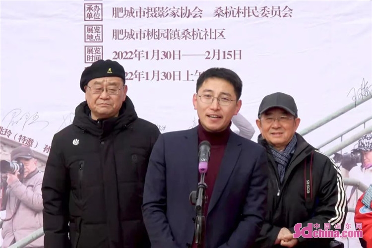保坂繪里最新,保坂繪里最新動態(tài)與成就