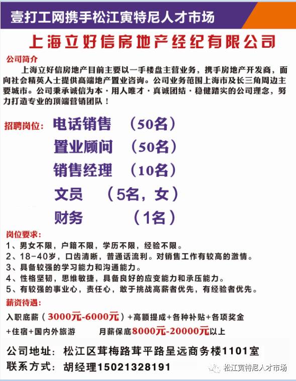 葉集最新招聘信息,葉集最新招聘信息概覽
