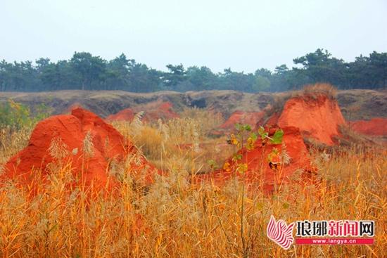 臨沂地震最新消息今天,臨沂地震最新消息今天