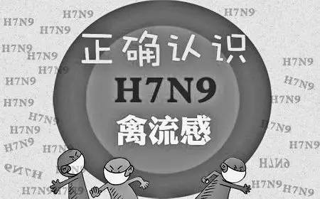 禽流感h7n9最新消息,禽流感H7N9最新消息，全球防控進展與未來展望