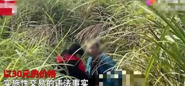 草溜最新地址,關(guān)于草溜最新地址的涉黃問題探討