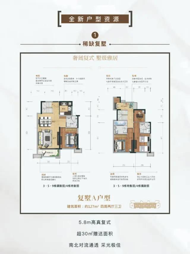 容桂地鐵最新規(guī)劃,容桂地鐵最新規(guī)劃，未來交通藍圖展望