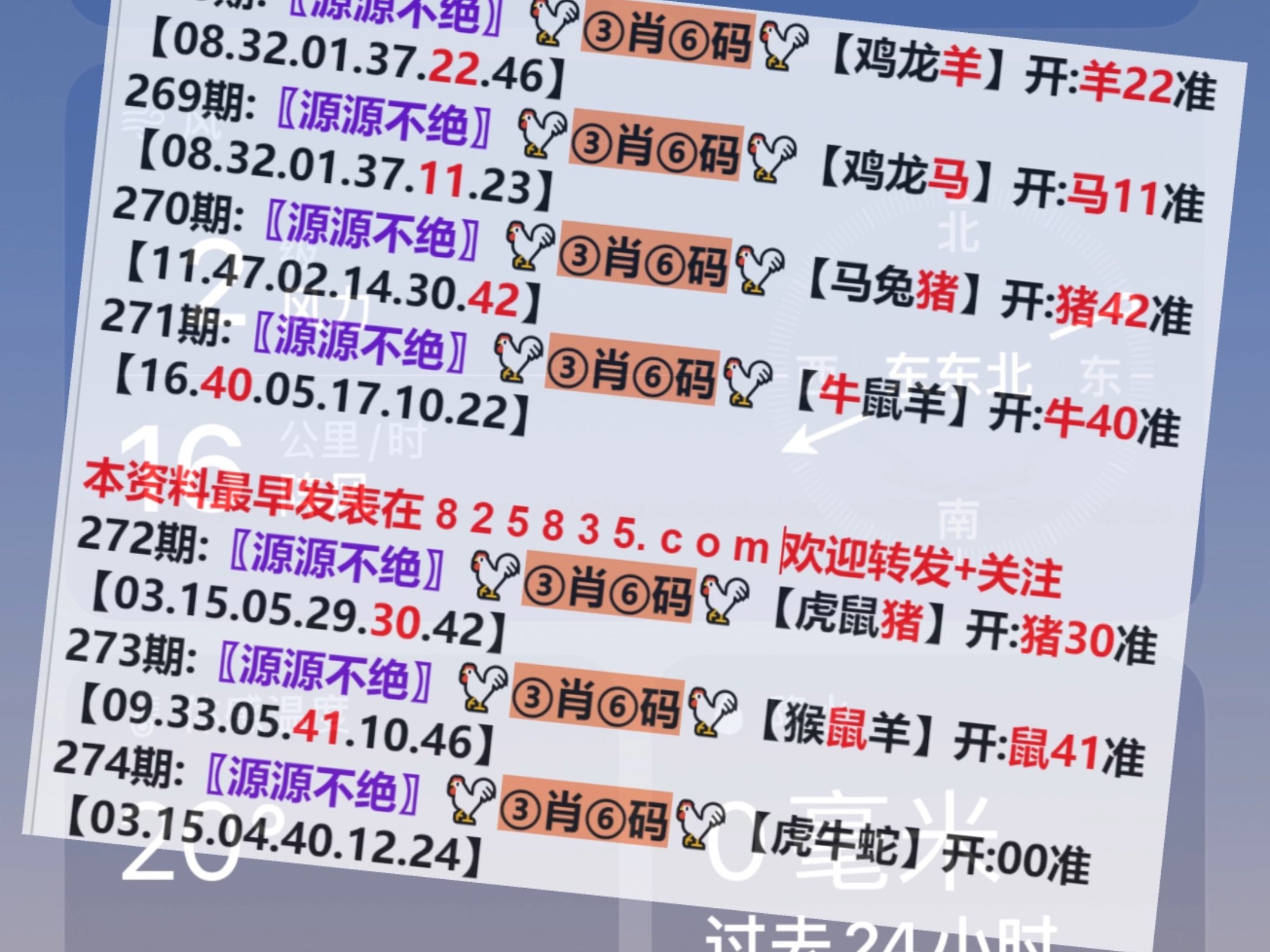 2024年新澳門王中王開獎(jiǎng)結(jié)果,揭秘2024年新澳門王中王開獎(jiǎng)結(jié)果