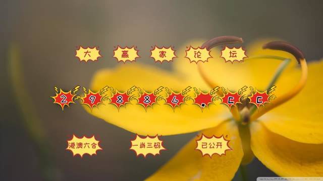 龍魂天王 第2頁