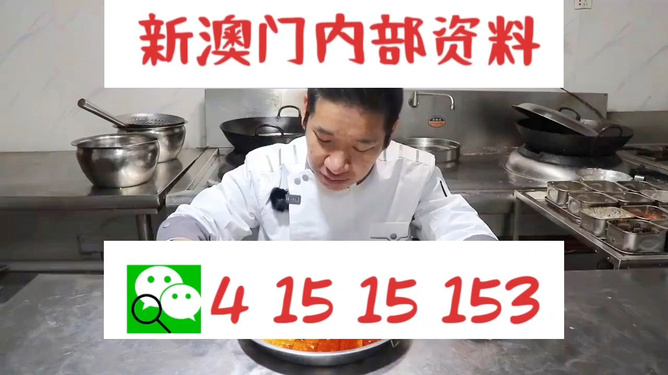 澳門管家婆資料一碼一特一,澳門管家婆資料一碼一特一，深度解析與探索