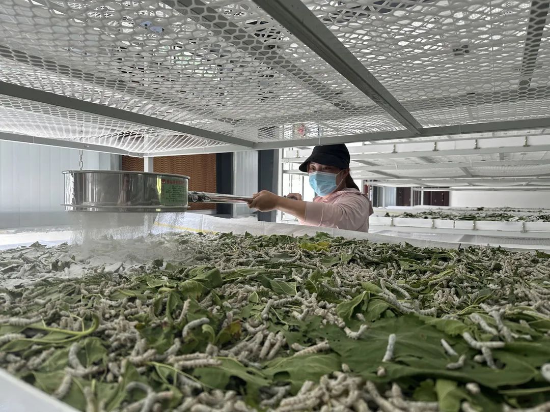 落日殘影 第2頁