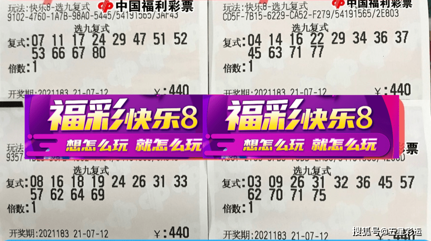 管家婆一票一碼100正確,管家婆一票一碼，百分之百正確的選擇