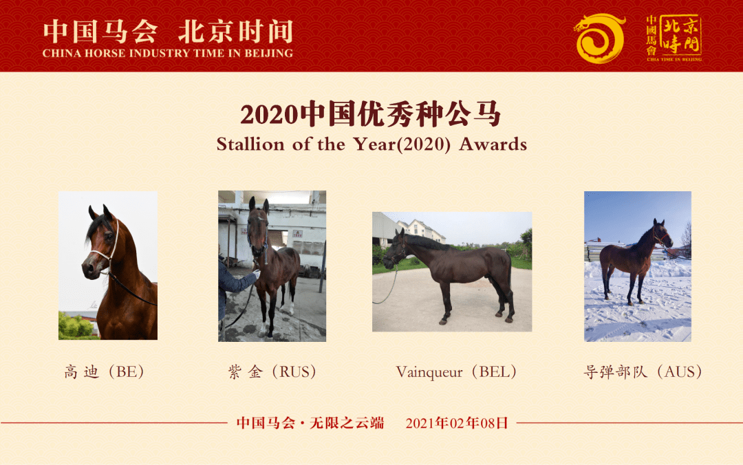 今晚澳門馬出什么特馬,今晚澳門馬會(huì)出什么樣的特馬？探索馬會(huì)神秘面紗下的秘密
