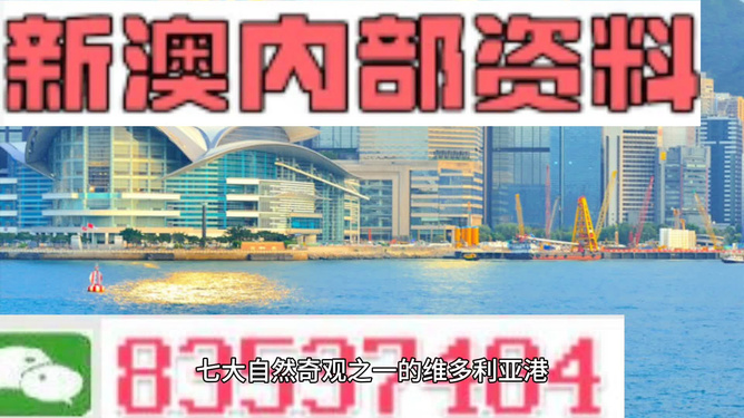 2024新澳免費資料大全精準版, 2024新澳免費資料大全精準版，探索與解析