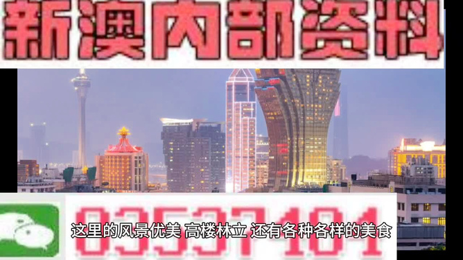 新澳最精準正最精準龍門客棧免費,新澳最精準正龍門客棧免費體驗之旅