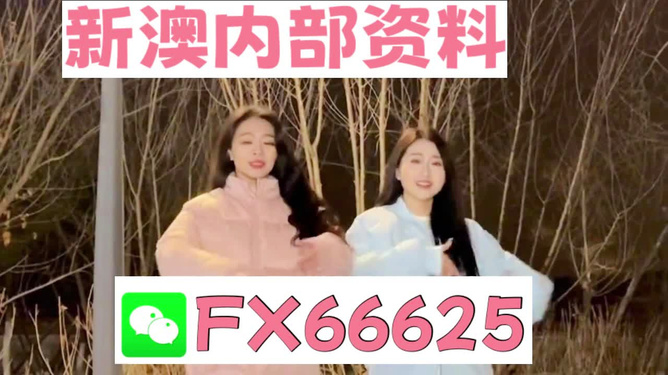 管家婆一碼一肖100中獎(jiǎng),揭秘管家婆一碼一肖，探尋中獎(jiǎng)的奧秘與策略