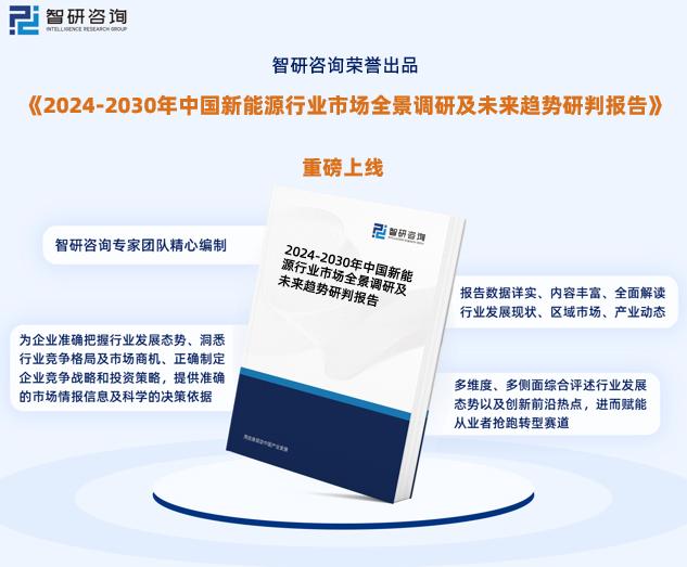 2024新奧精準正版資料,揭秘2024新奧精準正版資料，全方位解讀與實用指南