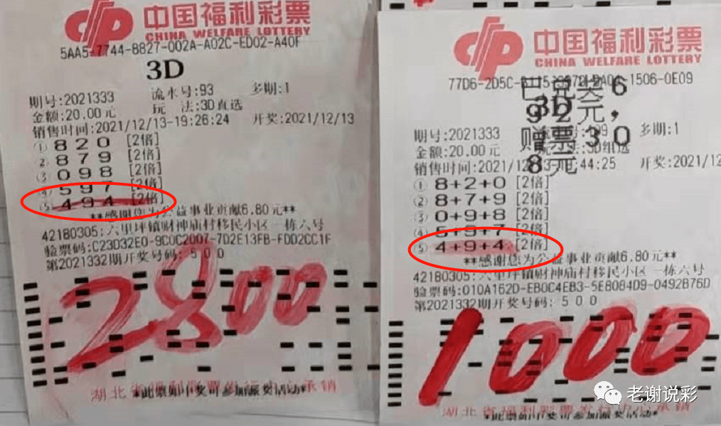 新奧門天天彩資料免費,新奧門天天彩資料免費，探索彩票文化的魅力與責任