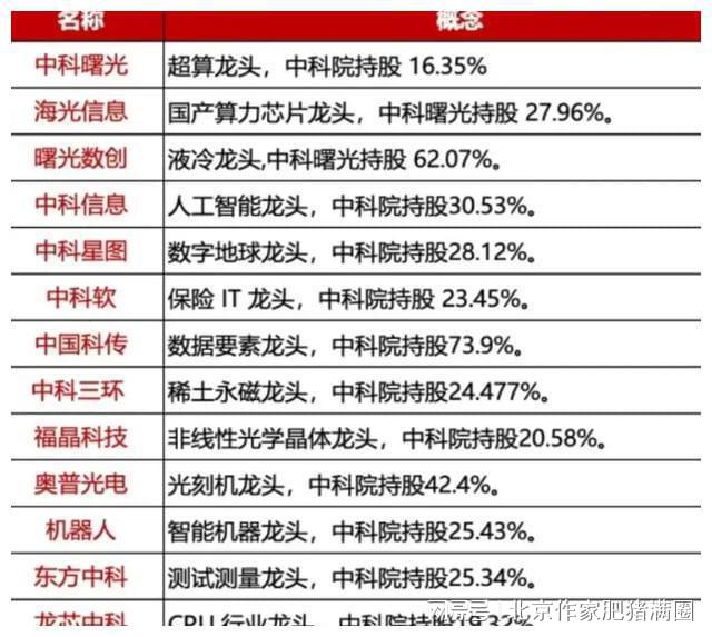 最準一肖一碼一一中特,揭秘最準一肖一碼一一中特背后的秘密