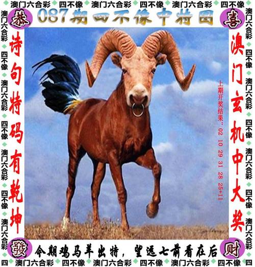 新澳天天開獎免費資料,新澳天天開獎免費資料，揭示背后的真相與風險