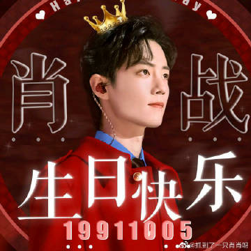 一肖一碼一一肖一子,一肖一碼一一肖一子，探尋背后的神秘與魅力