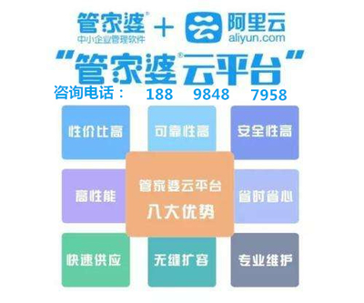 澳門管家婆100%精準(zhǔn),澳門管家婆，揭秘精準(zhǔn)預(yù)測的神秘面紗