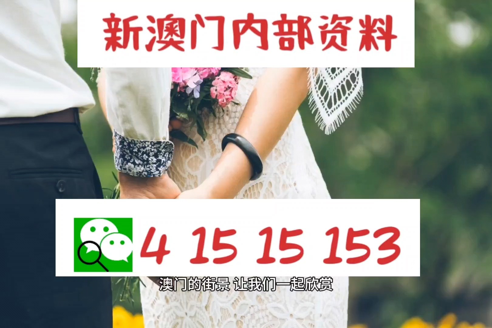 澳門正版資料免費大全的特點,澳門正版資料免費大全的特點，全面解析其優勢與價值