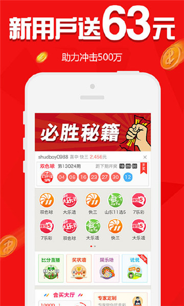 2024澳門今晚必開一肖,澳門今晚必開一肖——探尋生肖彩票的魅力與奧秘