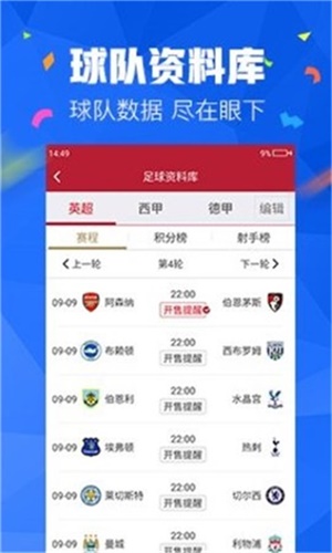 王中王免費資料大全料大全一精準,王中王免費資料大全料大全一精準解析與探索
