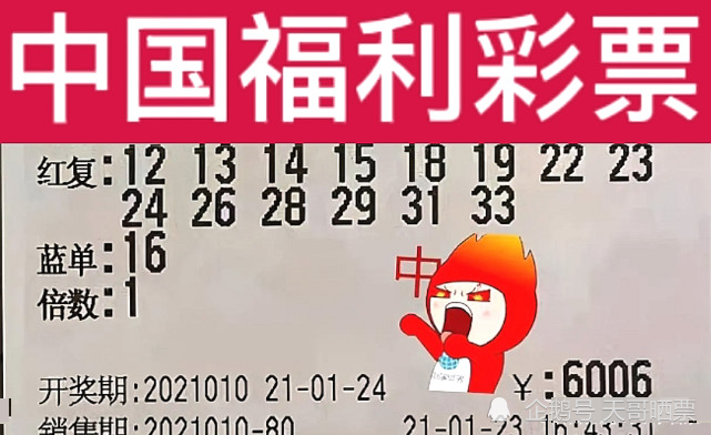 新澳2024今晚開獎結果,新澳2024今晚開獎結果，期待與驚喜交織的時刻