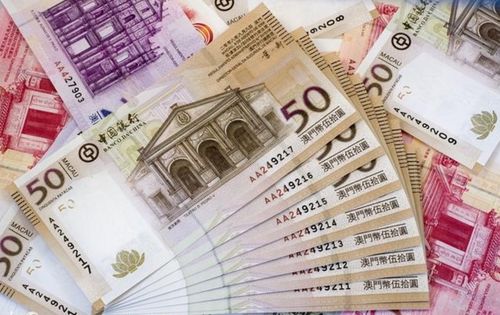 2024新澳門天天開好彩,新澳門天天開好彩，探索未來的無限可能
