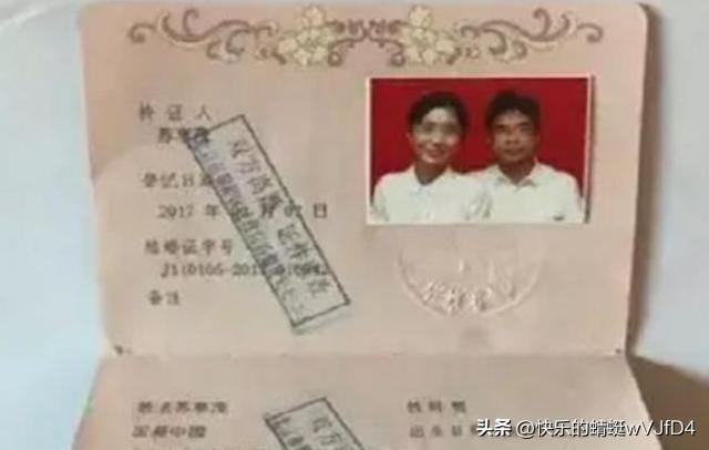 2024天天彩全年免費資料,探索2024天天彩全年免費資料的奧秘